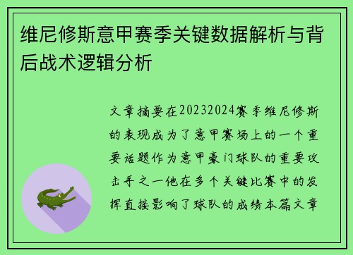维尼修斯意甲赛季关键数据解析与背后战术逻辑分析